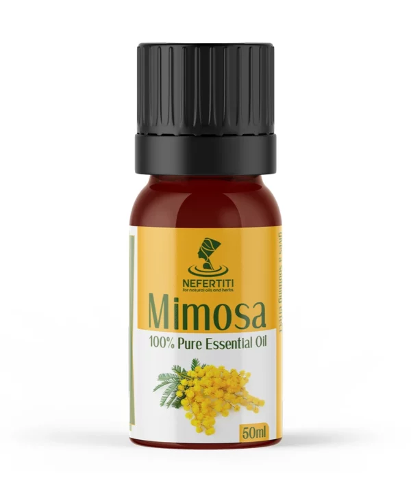 L'huile de mimosa