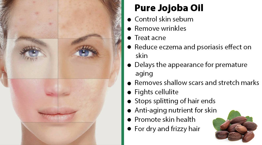 Jojoba discrib