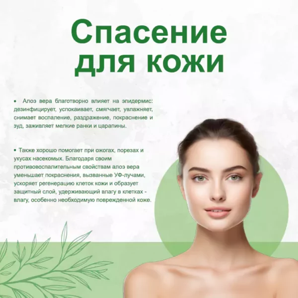 Лосьон Алоэ Вера — изображение 4