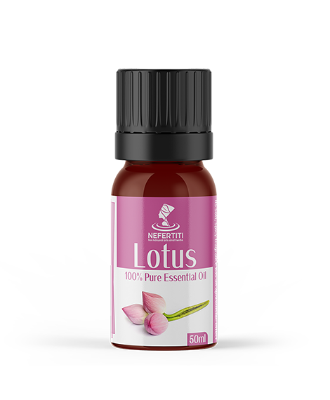 Lotus 2 1