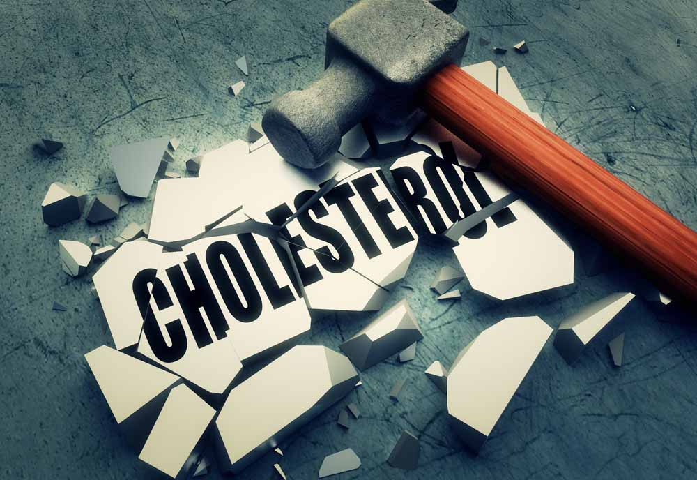 what is cholestrol