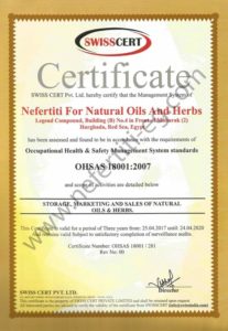 Nefertiti ISO 18001 2007