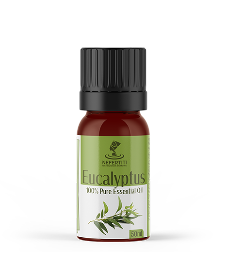 Eucalyptus 1