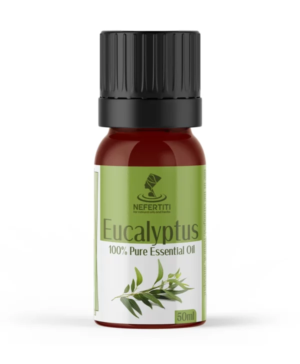 eucalyptus jpeg