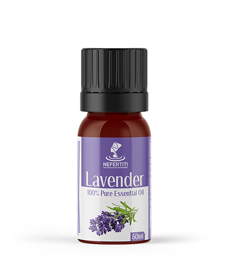 Lavander 1