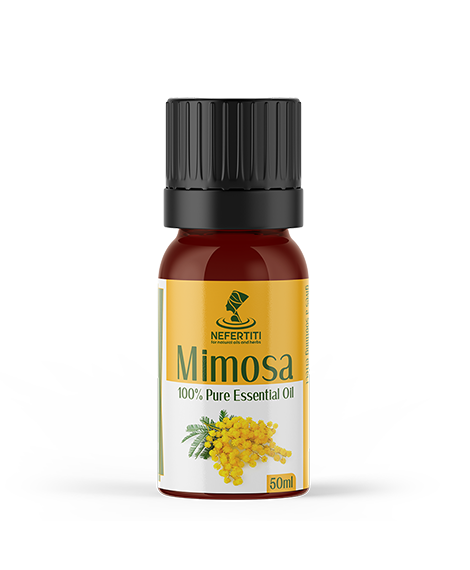 Mimosa 1