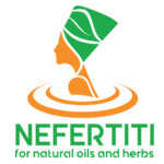 Logo Nefertiti