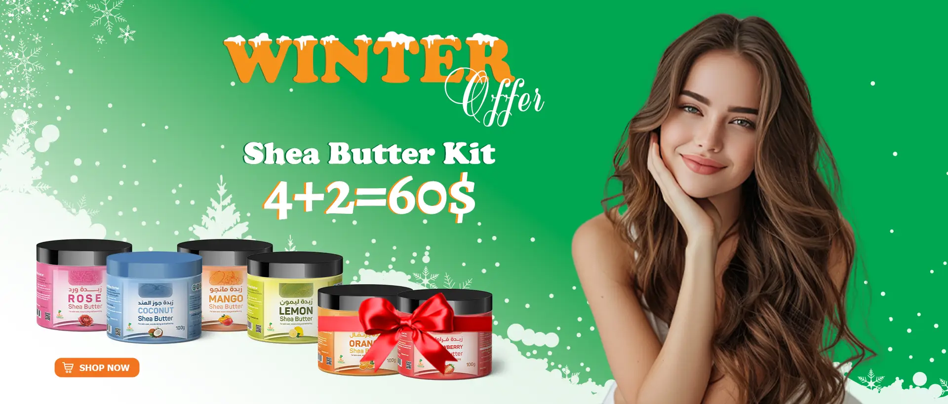 winter offer web banner